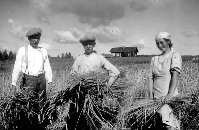 Elonkorjuuta Kolkulla