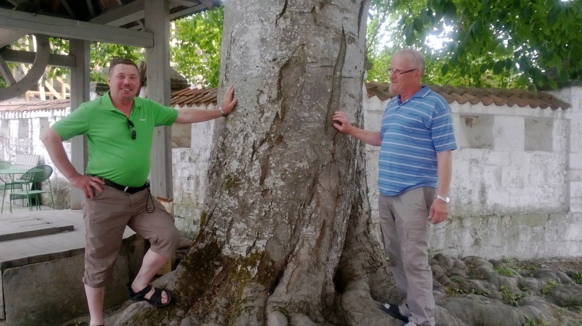 Kolkkulaiset Virossa Saarenmaalla