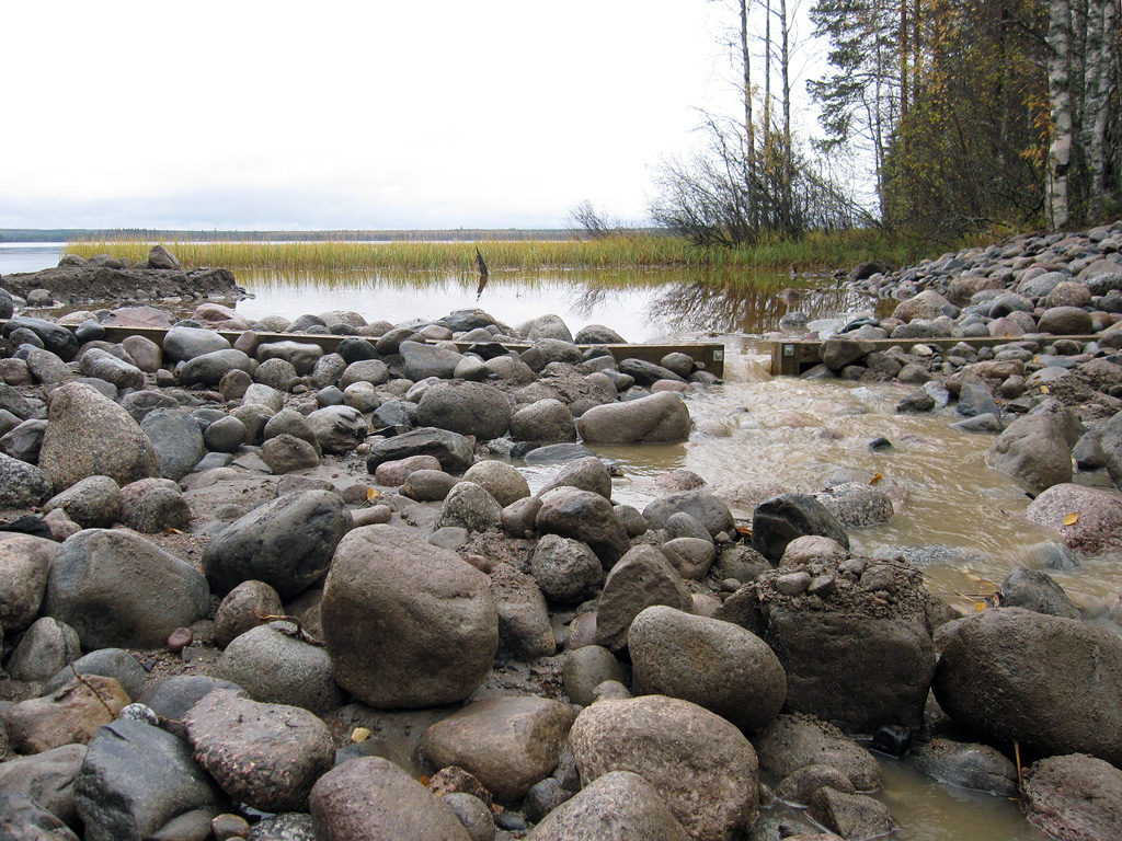 Kolkkujoen tammen patoluukku