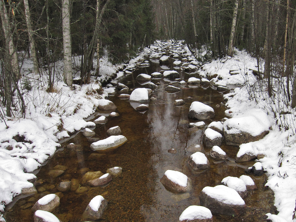 Kolkkujoen tammelle lisätyt kivet paikallaan