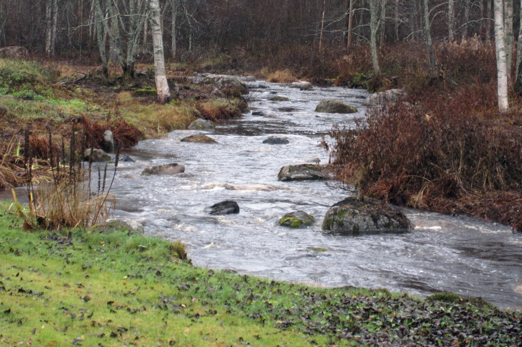 Kolkkujoen kunnostus 2014