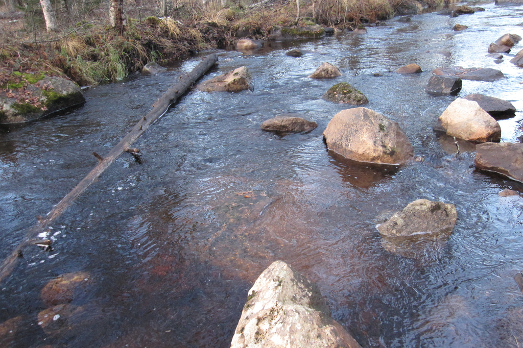 Kolkkujoen kunnostus 2014