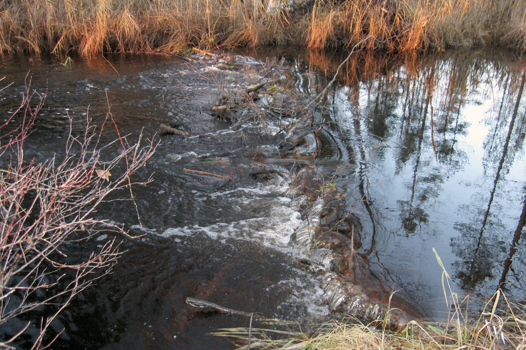 Kolkkujoen kunnostus 2014