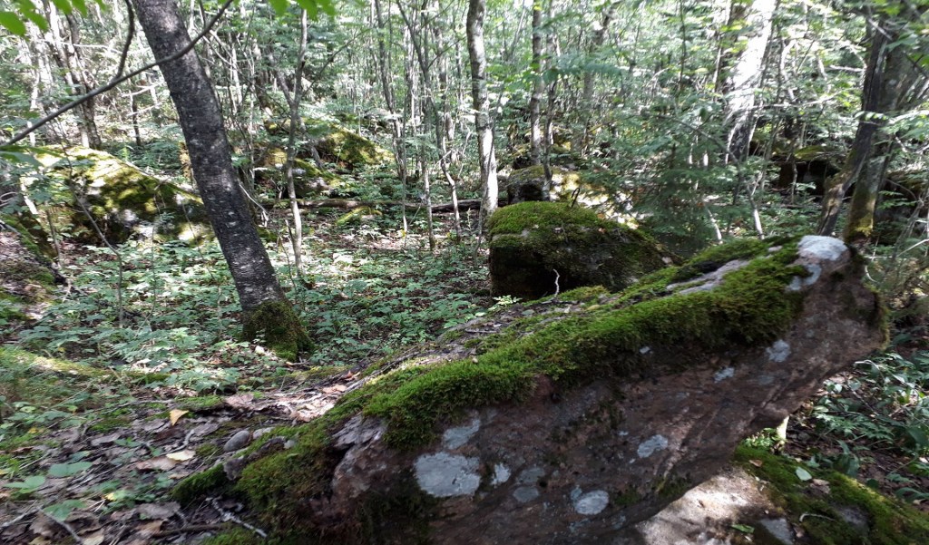 Siiranmäen puolustusasemia