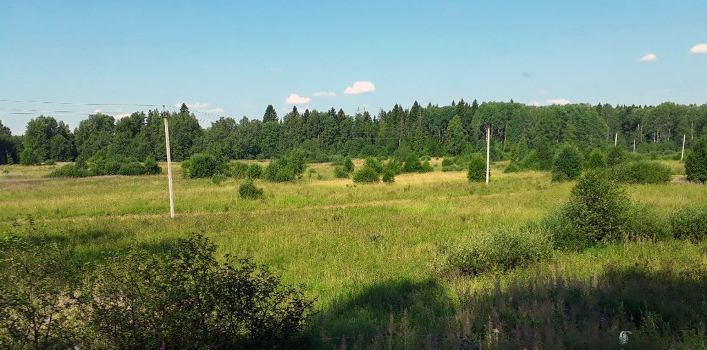 Luonto valtaa Siiranmäen peltovainioita