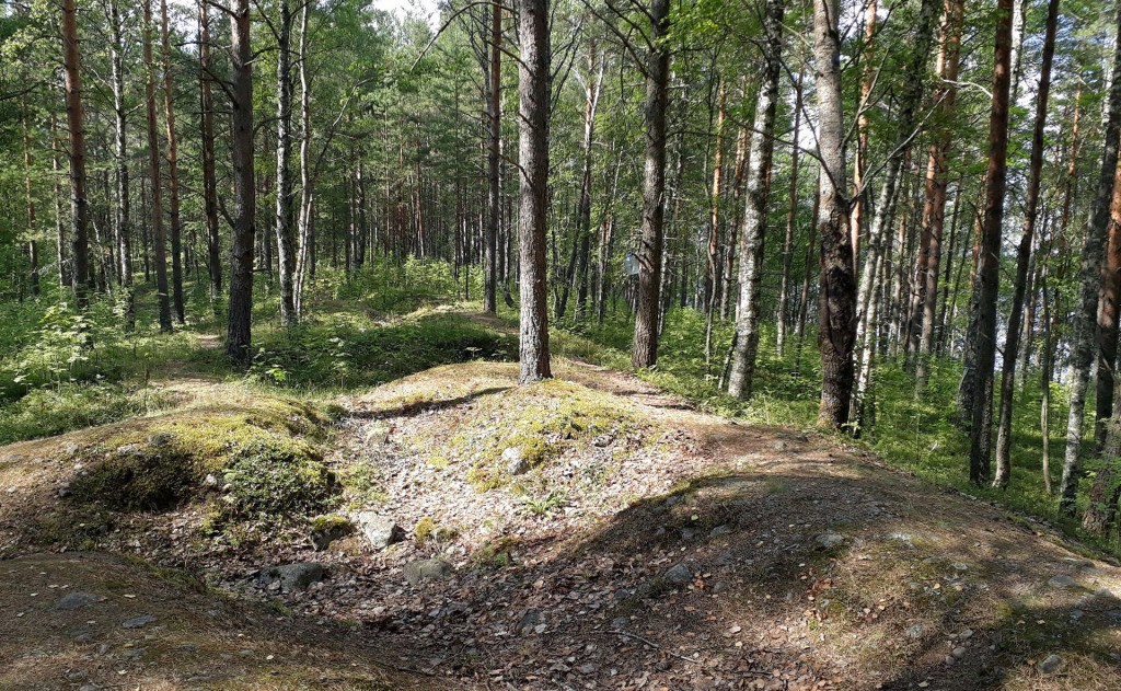 Näkymä länteen Äyräpään kirkon raunioilta heinäkuussa 2018