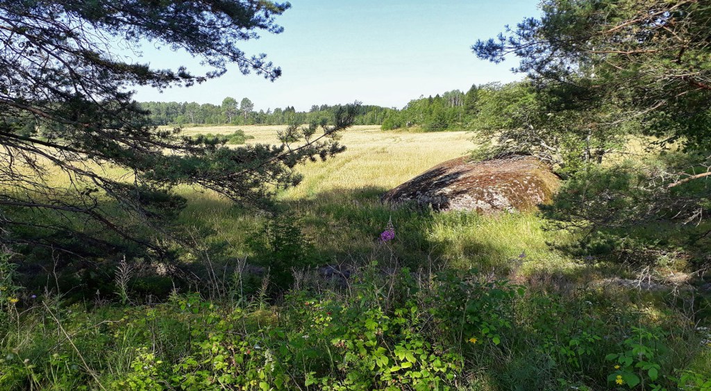 Tali-Ihantalan maisemaa 2018